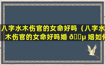 八字水木伤官的女命好吗（八字水木伤官的女命好吗婚 🐵 姻如何）